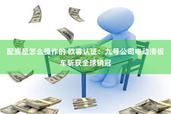 配资是怎么操作的 欧睿认证：九号公司电动滑板车斩获全球销冠