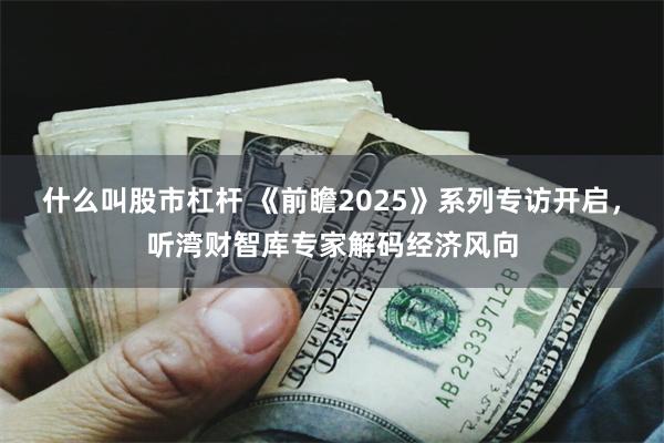 什么叫股市杠杆 《前瞻2025》系列专访开启，听湾财智库专家解码经济风向