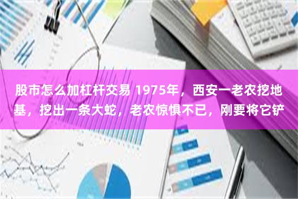 股市怎么加杠杆交易 1975年，西安一老农挖地基，挖出一条大蛇，老农惊惧不已，刚要将它铲