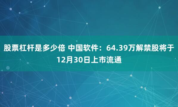 股票杠杆是多少倍 中国软件：64.39万解禁股将于12月30日上市流通