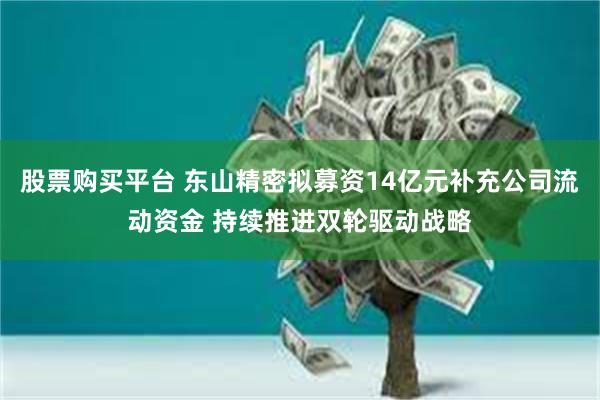 股票购买平台 东山精密拟募资14亿元补充公司流动资金 持续推进双轮驱动战略