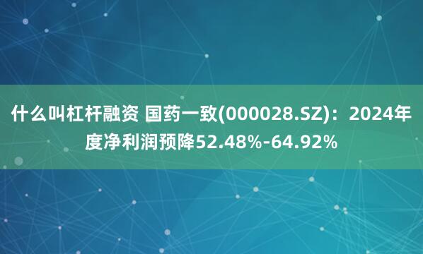 什么叫杠杆融资 国药一致(000028.SZ)：2024年度净利润预降52.48%-64.92%