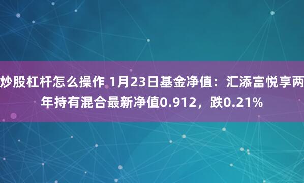 炒股杠杆怎么操作 1月23日基金净值：汇添富悦享两年持有混合最新净值0.912，跌0.21%