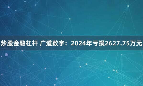 炒股金融杠杆 广道数字：2024年亏损2627.75万元