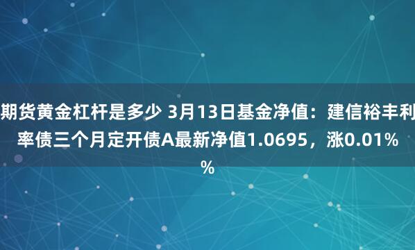 期货黄金杠杆是多少 3月13日基金净值：建信裕丰利率债三个月定开债A最新净值1.0695，涨0.01%