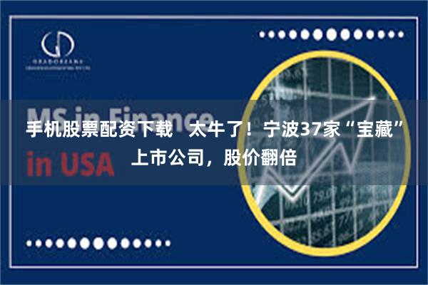 手机股票配资下载   太牛了！宁波37家“宝藏”上市公司，股价翻倍